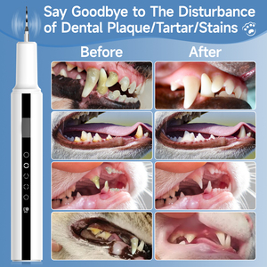 Prodotto a ultrasuoni dispositivo di rimozione della placca per animali domestici pulitore denti ad ultrasuoni cane Kit di pulizia dentale strumento di cura dentale ricaricabile - Product Image 6