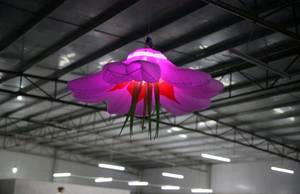 Single Stem Real Touch Bảo Quản LED Light Rose Wedding Flower Đối Với Sự Kiện - Product Image 5
