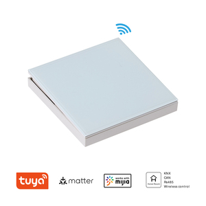 Sang trọng 220V với không có trung tính EU 1 2 3 4 gang thông minh chuyển đổi R5 Wifi tuya Ổ cắm điện cảm ứng tường ánh sáng chuyển đổi thông minh Dimmer chức năng - Product Image 5