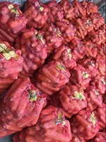 Sac en maille Raschel PP anti-humidité 50*80cm 25kg 30kg pour légumes, pommes de terre, oignons et emballage d'aliments
