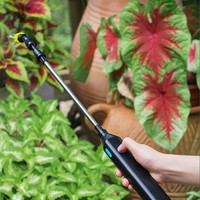 Pulvérisateur de jardin électrique portable F54 avec tuyau de 2 m pour arroser les fleurs, pistolet de pulvérisation de jardin extérieur, produit ménager