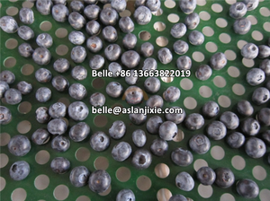 ماكينة تصنيف عنبية زرقاء 2 + 1 ، ماكينة تصنيف حزام عنبية زرقاء ، ماكينة تصنيف عنبية زرقاء - Product Image 5