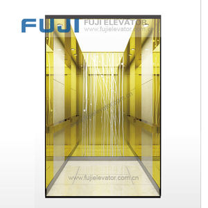 3-5 मंजिल विला के लिए घरेलू एसी यात्री लिफ्ट 304 vf नियंत्रण का उपयोग करते हैं - Product Image 5