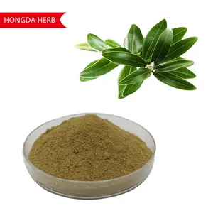 Hongda Supply Olive Leaf Extract Poudre 80% Oleuropéine Olive Leaf Extract