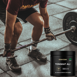 OEM/ODM Premium Tongkat Ali özü 200:1 kapsül | Erkek canlılık - Product Image 3