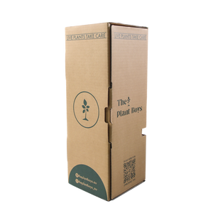 Boîte <span class=keywords><strong>d</strong></span>'expédition en kraft écologique et recyclable, personnalisable avec logo imprimé, carton ondulé pour l'emballage de <span class=keywords><strong>semis</strong></span> <span class=keywords><strong>d</strong></span>'arbres vivants - Product Image 1