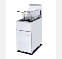 Friteuse à gaz professionnelle à 2 bacs pour frites et poulet, à vendre