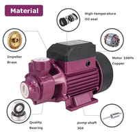 Petites pompes domestiques à turbine vortex QB 60 électrique 1 2 0.3 0.5hp électrique pour l'industrie agricole pompe à eau à surface propre