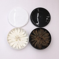 Boîte à snus en plastique personnalisée, corps en PP, sachets à snus, boîte à nicotine en plastique pour sérigraphie, en stock pour l'emballage