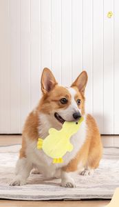 Toptan Köpek Oyuncağı Ördek Evcil Hayvan İnteraktif Hareketli Oyuncaklar - Product Image 6