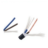 Kabel Rantai Tarik Lentur 5 Meter 2-inti 18 AWG Fleksibilitas Tinggi (-30 hingga +105) 81-600V Kawat Lengan Robot CNC