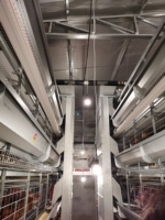 Tout nouvel équipement de poulet de volaille automatique galvanisé par immersion 3/4 niveaux cage de poulet H Type système d'emballage d'oeufs couche d'oeufs