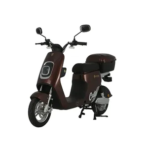 Trewers Zhejiang Long Range Classic Moto Electrica 1000w Electric Moped Motorcycle