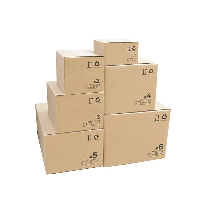 Eco Friendly Plant Big Shipping Box Corrugated Custom Size Shipping Carton Box Manufactures Large Corrugated Mailer Box Custom