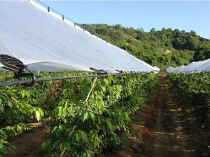 Lona Agrícola Transparente para Aves, Plástico para Cultivo de Frutas con Estabilizador UV y Bordes Reforzados para Uvas y Cerezas - Product Image 6