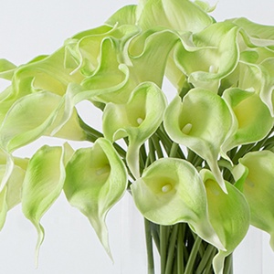 Decoración Duradera para Sala de Estar, 50 Piezas de Ramo de <span class=keywords><strong>Flores</strong></span> <span class=keywords><strong>Artificiales</strong></span> de Lirio de Cala Verde Claro Realista <span class=keywords><strong>con</strong></span> Florero de Vidrio - Product Image 3
