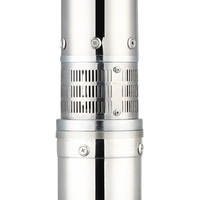 Pompe à eau chaude automatique en acier inoxydable 220V, mini-pompe à eau souterraine haute pression pour puits profond