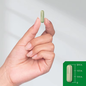 Vegan bağışıklık güçlendirici yumuşak jel kapsüller Elderberry & <span class=keywords><strong>Echinacea</strong></span> özü ile çinko C vitamini Quercetin yetişkinler için değil çocuklar için - Product Image 6