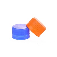 Bouchon de bouteille à vis en plastique PE de 28mm et couvercles pour bouchon de bouteille de boisson Plusieurs couleurs Couvercles de bouteille de boisson personnalisables