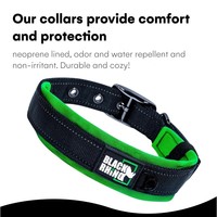Collier rembourré pour chien en gros – Nylon et néoprène durables, réfléchissant, résistant aux intempéries – Couleurs et logos personnalisés disponibles