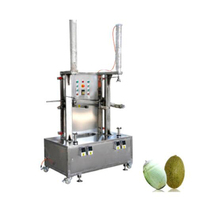 Industriële Commerciële Elektrische Pompoenschiller Meloenschilmachine Pompoenschilmachine