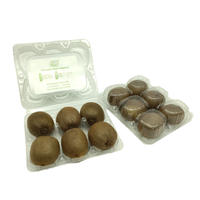 Nouveau produit boîte d'emballage de kiwis en plastique avec 6 trous séparateurs à clapet blister PET emballage à motif Rectangle Transparent