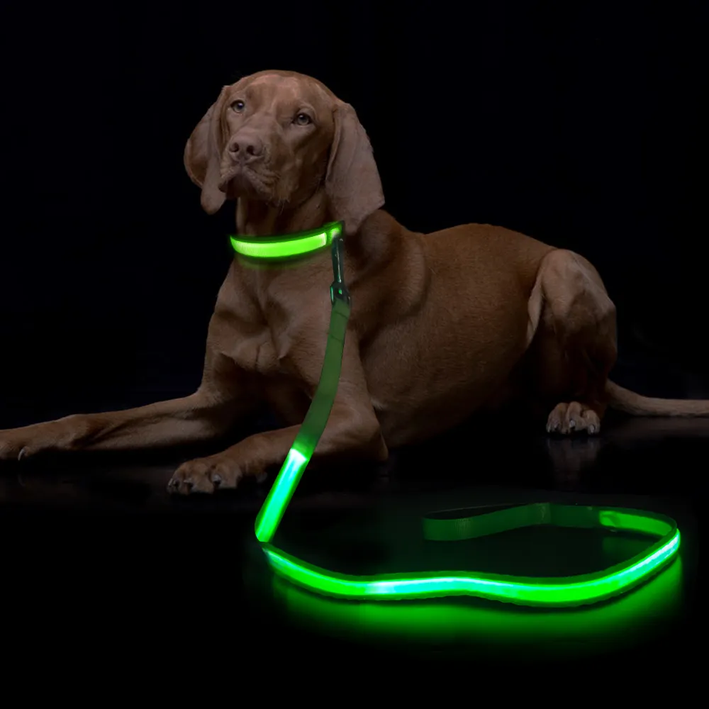Новое поступление мигающий ремень безопасности для собак Регулируемый Usb перезаряжаемый светящийся поводок светящийся Водонепроницаемый светодиодный поводок для собак