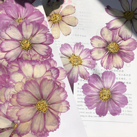 Fiori Pressati Cosmos, Fiori Essiccati, Fiori Pressati per Nail Art, Esemplari Botanici, Creazioni in Resina, Regali per le Feste, Confezionati Sottovuoto