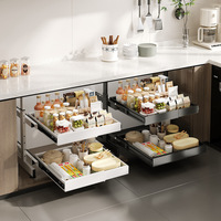 Rail de rangement en métal à double couche, réglable et rétractable, sans poinçon, étagère à tiroirs, organisateur d'armoires de cuisine et de bureau.
