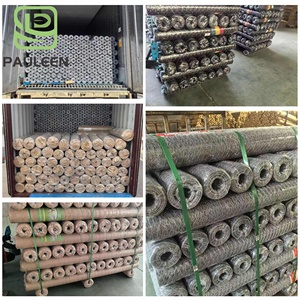 Galvanized Iron Wire Fence Small Hole <strong>Hexagonal</strong> Wire <strong>Mesh</strong> for <strong>Chicken</strong> Coop - Product Image 5