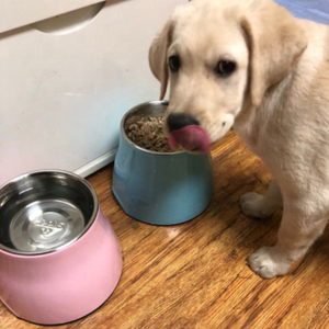 Bols pour chiens surélevés support en fer surélevé mangeoire pour chiens en gros bol pour chat surélevé 360ml, 560ml, 860ml - Product Image 1