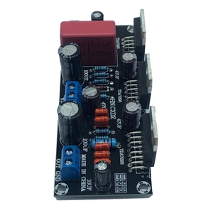 Módulo Amplificador de Canal Único HiFi OKYN-G7330 de 255 W - Product Image 2