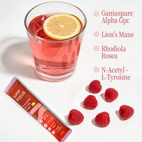 Poudre d'extrait de Crinière de Lion à succès – Sans sucre – Mélange énergétique pour la concentration – Complément stimulant pour la clarté mentale et la mémoire