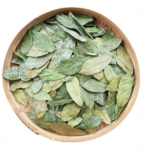 Foglie di Graviola Essiccate Direttamente dalla Fabbrica, Materia Prima per Tè alle <span class=keywords><strong>Erbe</strong></span>, Bevanda Salutare, Erba Naturale all'Ingrosso, Fornitura all'Ingrosso - Product Image 1