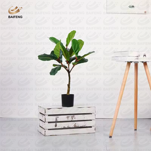 Vente en gros directe d'usine, nouveau design d'arbre artificiel en <span class=keywords><strong>cactus</strong></span>, plastique PE vert, écologique pour la décoration de la maison et du bureau - Product Image 3
