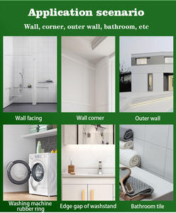 Machine à laver multifonctionnelle pour la salle de bain, agent de pulvérisation pour enlever la moisissure des murs. - Product Image 6