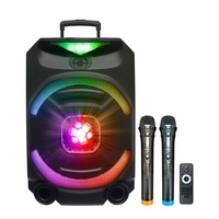 Haut-parleur Bluetooth portable 15 pouces pour extérieur, en gros, avec subwoofer haute puissance et volume sonore élevé, pour audio domestique sans fil