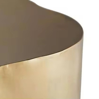 Table d'appoint minimaliste pour salon, table en acier inoxydable, design irrégulier, Ace of Spades, meubles de salon
