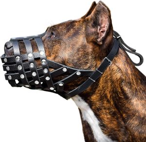 Collar y Correa Ajustables de Lujo <span class=keywords><strong>para</strong></span> Mascotas, de Nailon Sólido, con Cintas Acolchadas, Transpirables, Reflectantes, Anti-Mordidas, <span class=keywords><strong>para</strong></span> Razas Grandes como <span class=keywords><strong>Pitbull</strong></span> - Product Image 1