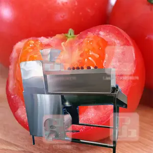 Schlussverkauf industrielle Frucht- und Tomaten-Samenabweichmaschine Tomatenkernextraktionsmaschine