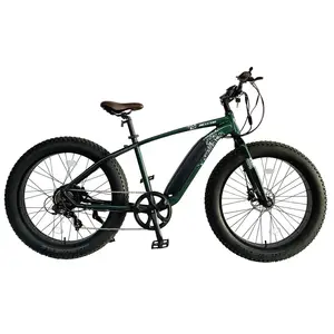 Hot sale 2020 europe full suspension electric fat bike 1000w /High quality e fatbike bicycle/wholesale cheap fat tire e bike