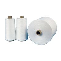 Factory Wholesale 100% Spun Polyester Yarn 40/2 50/2 60/3 Colorful High Tenacity for Knitting
