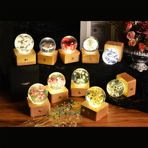 USB Powered Bất Bồ Công Anh Nhựa Bóng Hoa Thủ Công Pha Lê Ánh Sáng Ban Đêm Tâm Trạng Đèn Cho Trẻ Em Phòng Ngủ Trang Trí Nội Thất Quà Tặng - Product Image 1