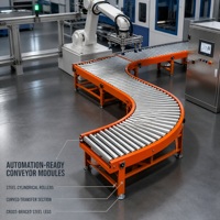 Convoyeur à rouleaux en acier inoxydable pour la manutention des matériaux d'équipements semi-conducteurs et la ligne de production propre