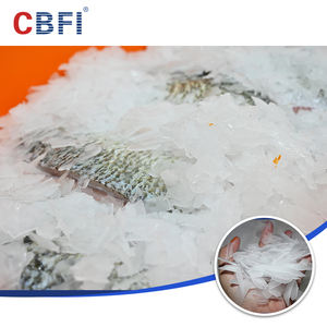 เครื่องทำน้ำแข็งเกล็ดคุณภาพสูงสำหรับใช้ในซูเปอร์มาร์เก็ต - Product Image 5