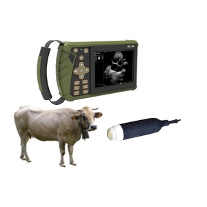 Portable Ultrasound <strong>Scanner</strong> Veterinary Ultrasound Equipment Micro Convex <strong>Probe</strong> - Product Image 3