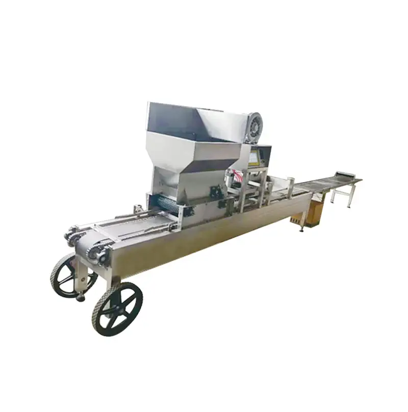 automatic seeder machine for different sizes seeds of celery cauliflower chili pepper tomato melon watermelon asparagus