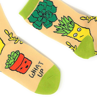 Jixingfeng Professional Manufacturer Offre des services de personnalisation Coton Colorful Funny Fun Mens Crew Sock
