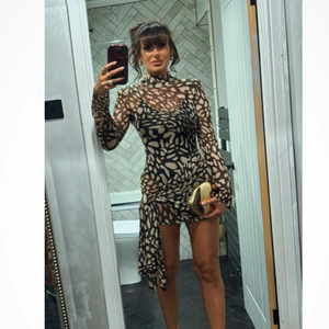 High Neck Mesh Leopard Print Bodycon Dress Long Sleeve Tie Front Slim Fit Club Dress - Product Image 4