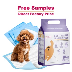 Couche pour animaux de compagnie personnalisable, écologique, épaissie, désodorisante, respirante, absorbante et antidérapante pour l'entraînement des chiens - Product Image 1